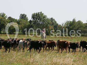 Location salle Fleury (Aude) - Manade Marge Domaine de la Batisse #21