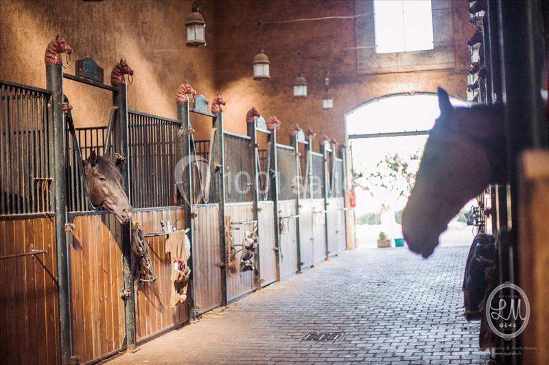 Location salle Fleury (Aude) - Manade Marge Domaine de la Batisse #23