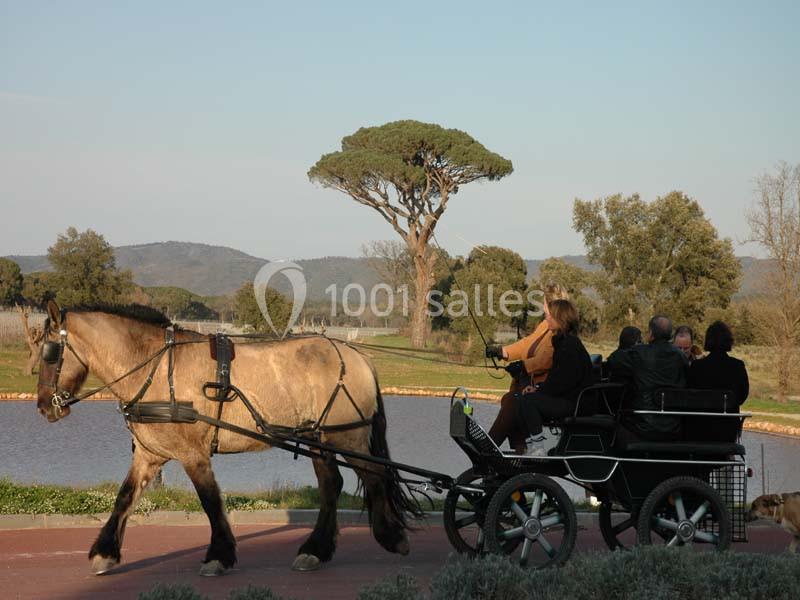 Château Saint Julien D'aille - galerie - photo 8