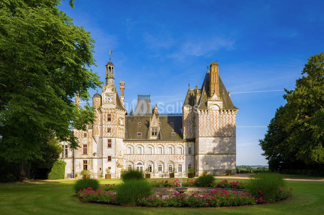 Château de Montigny Le Gannelon - galerie - photo 16