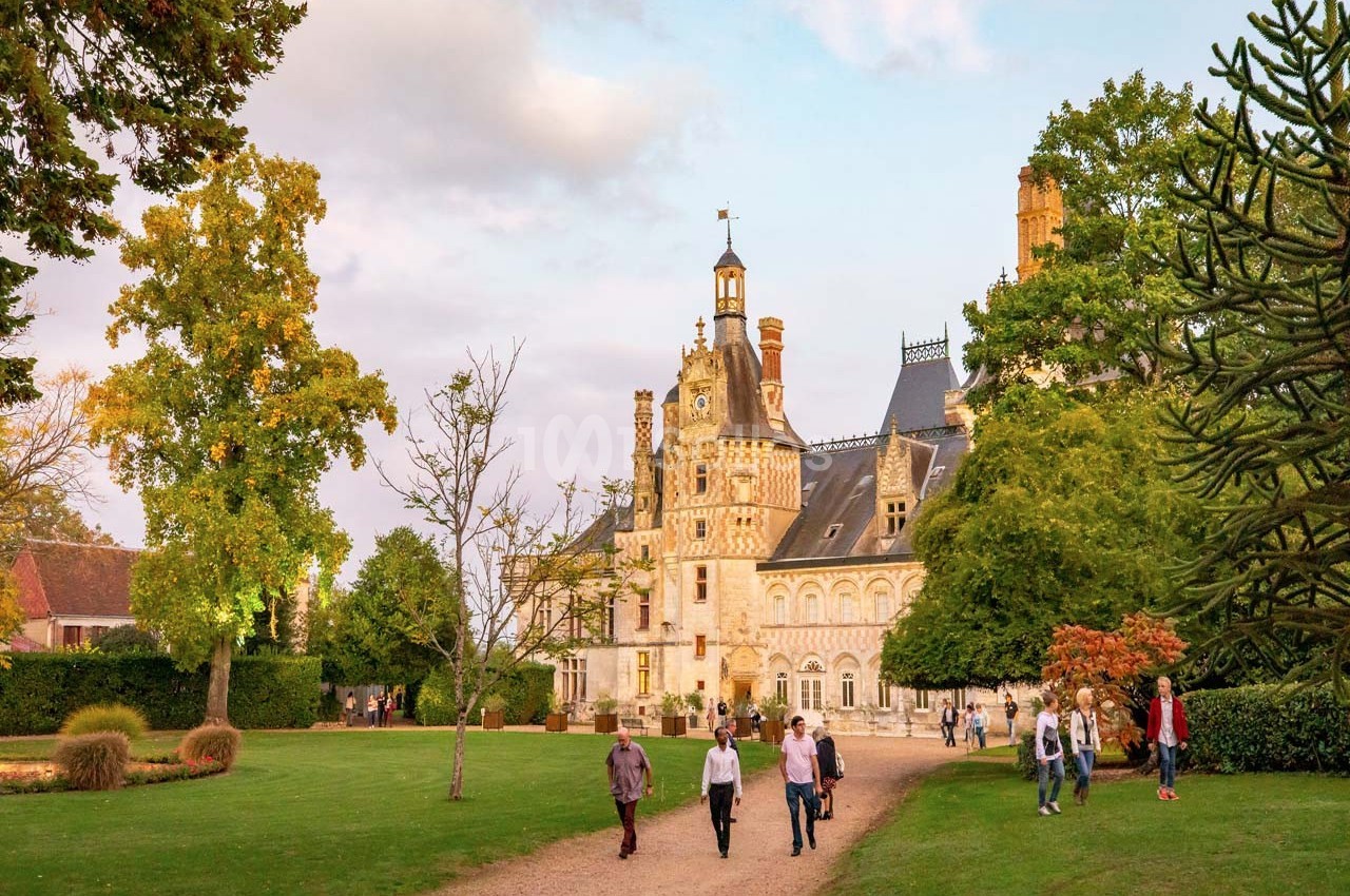 Château de Montigny Le Gannelon - galerie - photo 33