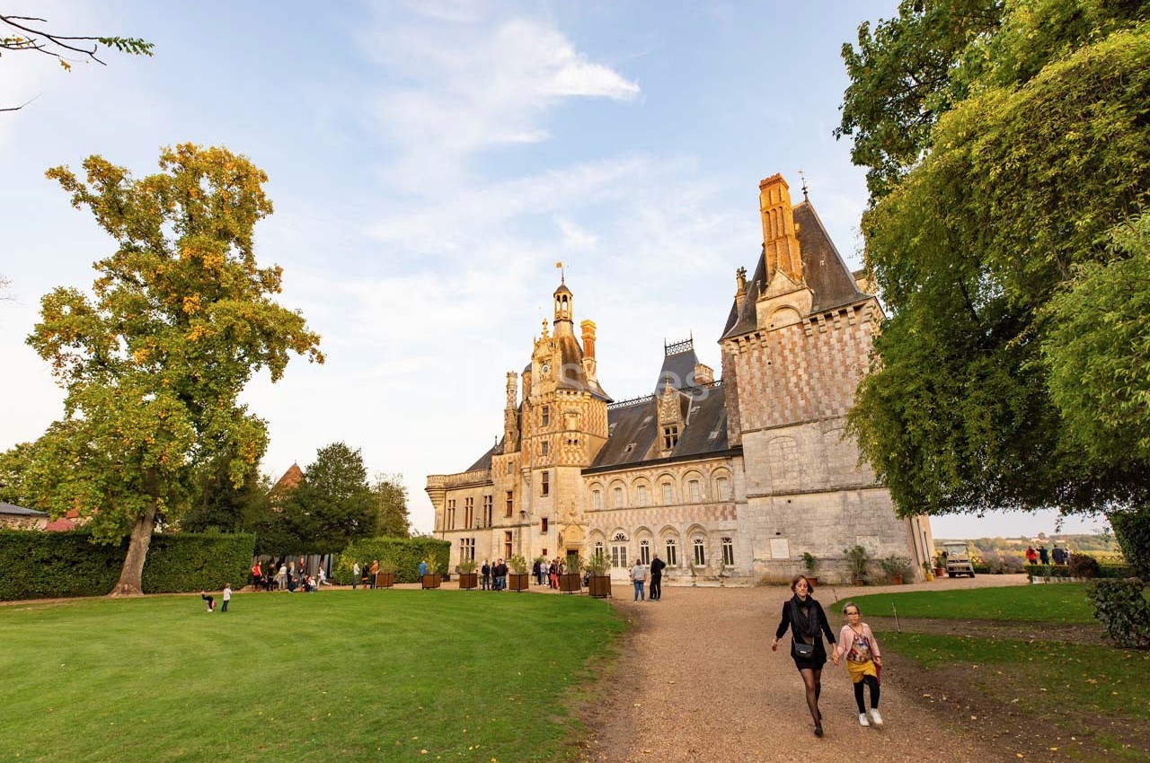 Château de Montigny Le Gannelon - galerie - photo 32