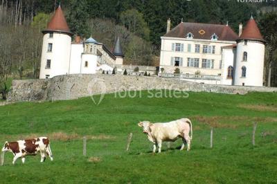 Location salle Lamure-sur-Azergues (Rhône) - Château De Pramenoux #23