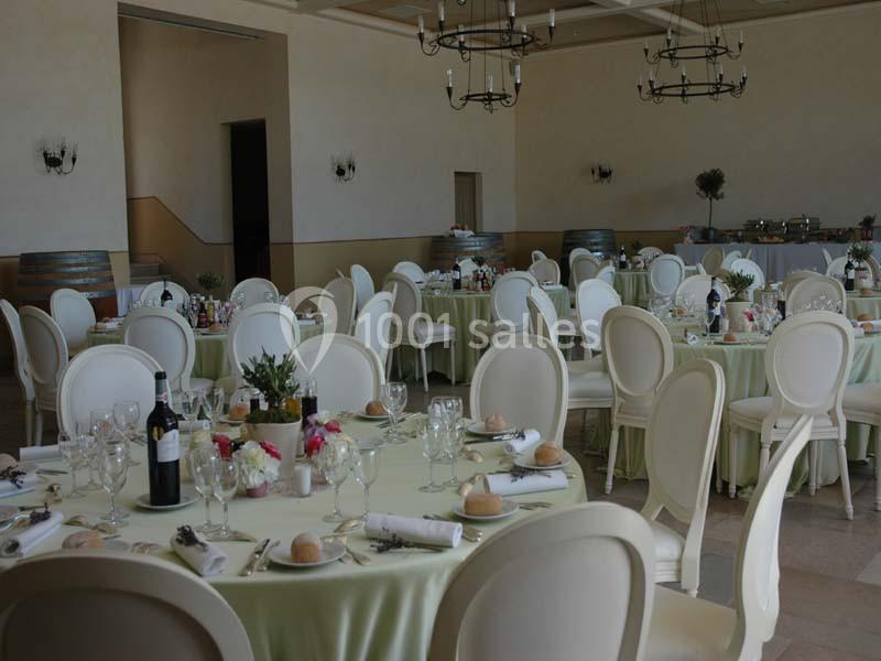 Château Saint Julien D'aille - galerie - photo 8