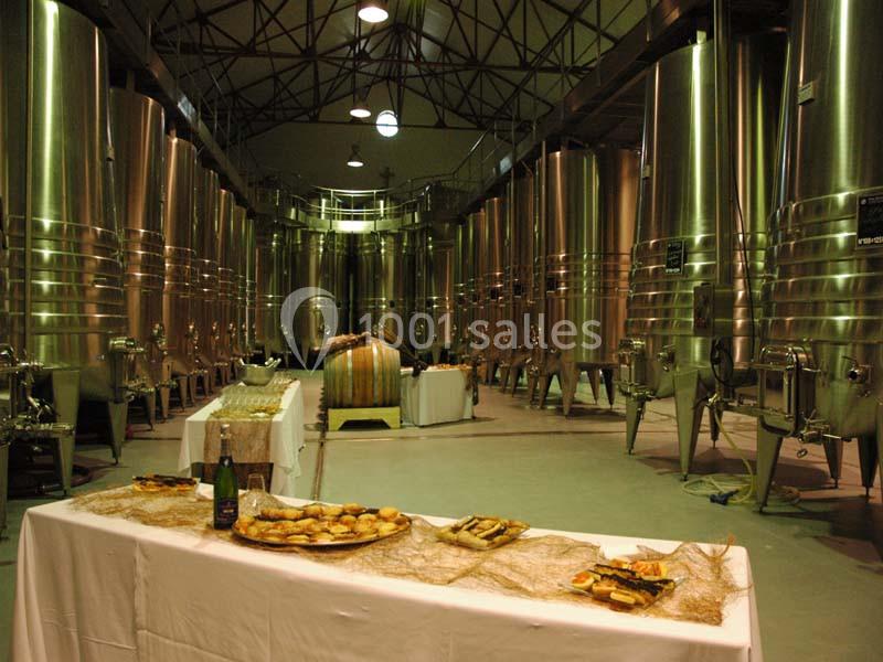 Château Saint Julien D'aille - galerie - photo 17