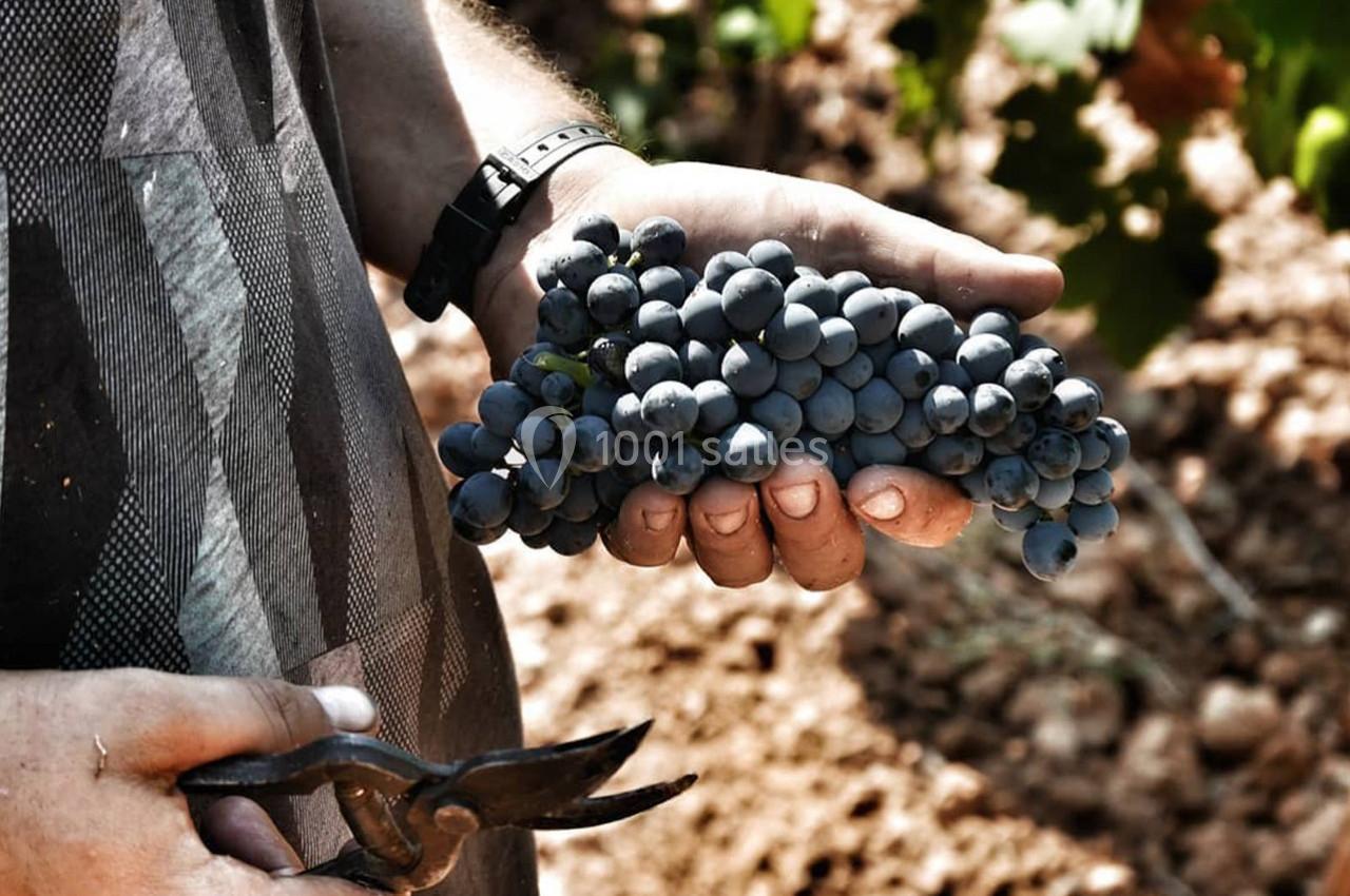 Le Clos de l'Amandaie - galerie - photo 32
