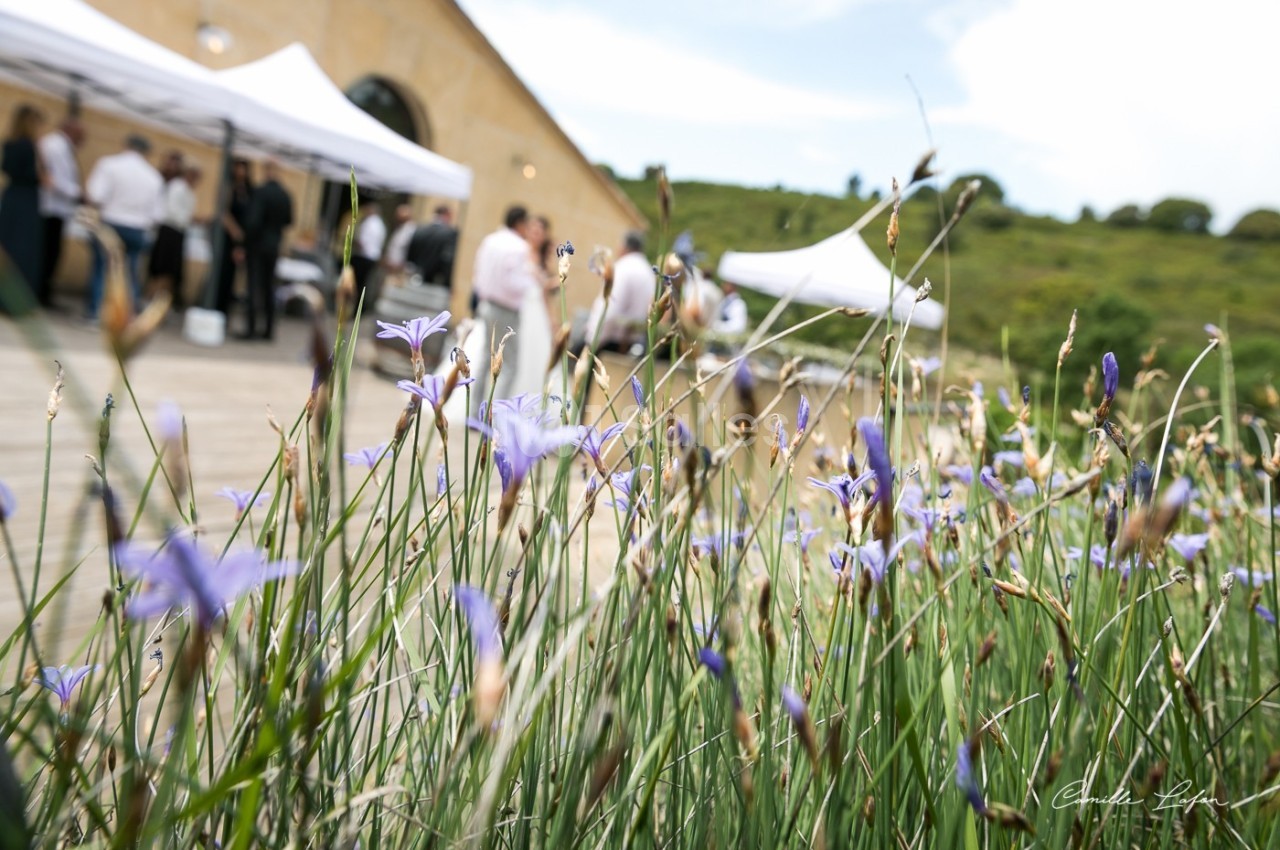 Le Clos de l'Amandaie - galerie - photo 1