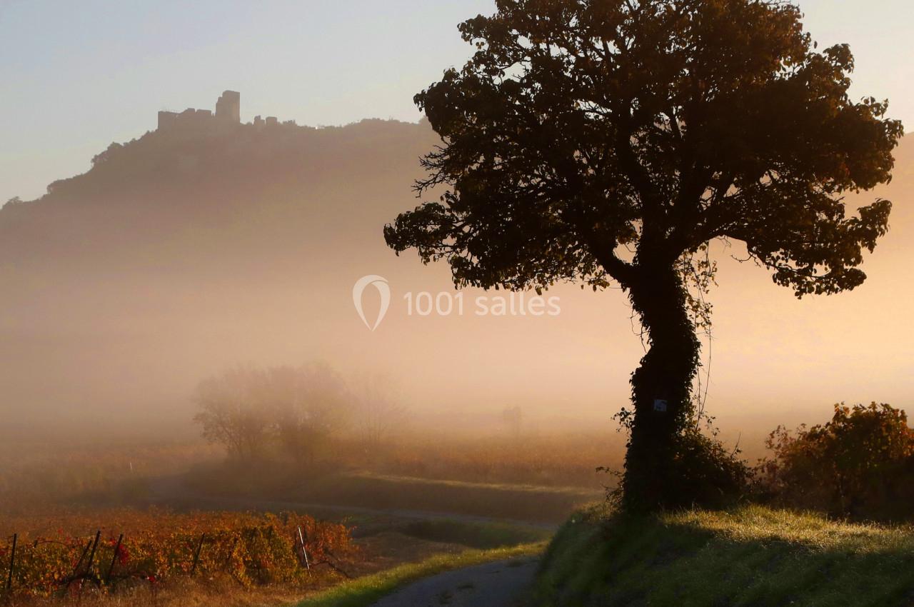 Le Clos de l'Amandaie - galerie - photo 28