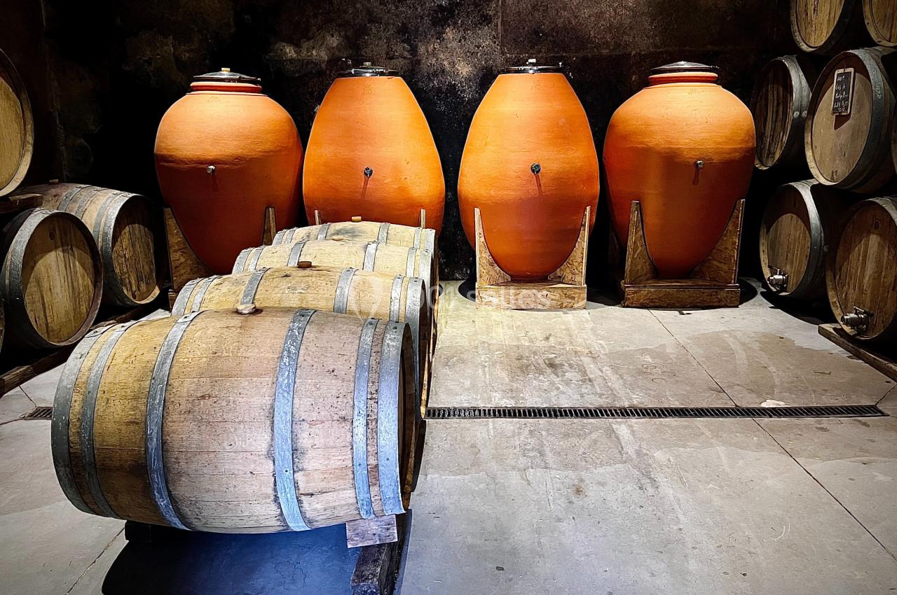 Le Clos de l'Amandaie - galerie - photo 34