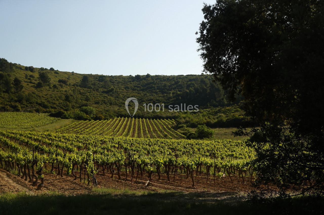 Le Clos de l'Amandaie - galerie - photo 30