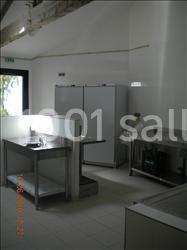 Guermiton - galerie - photo 13